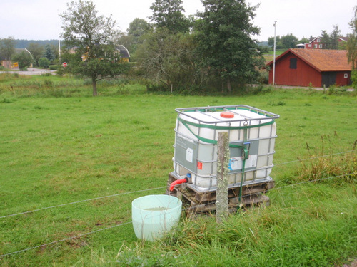 special water supply for animals located next to the canal.